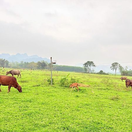 Jungle Boss Homestay Phong Nha Ngoại thất bức ảnh