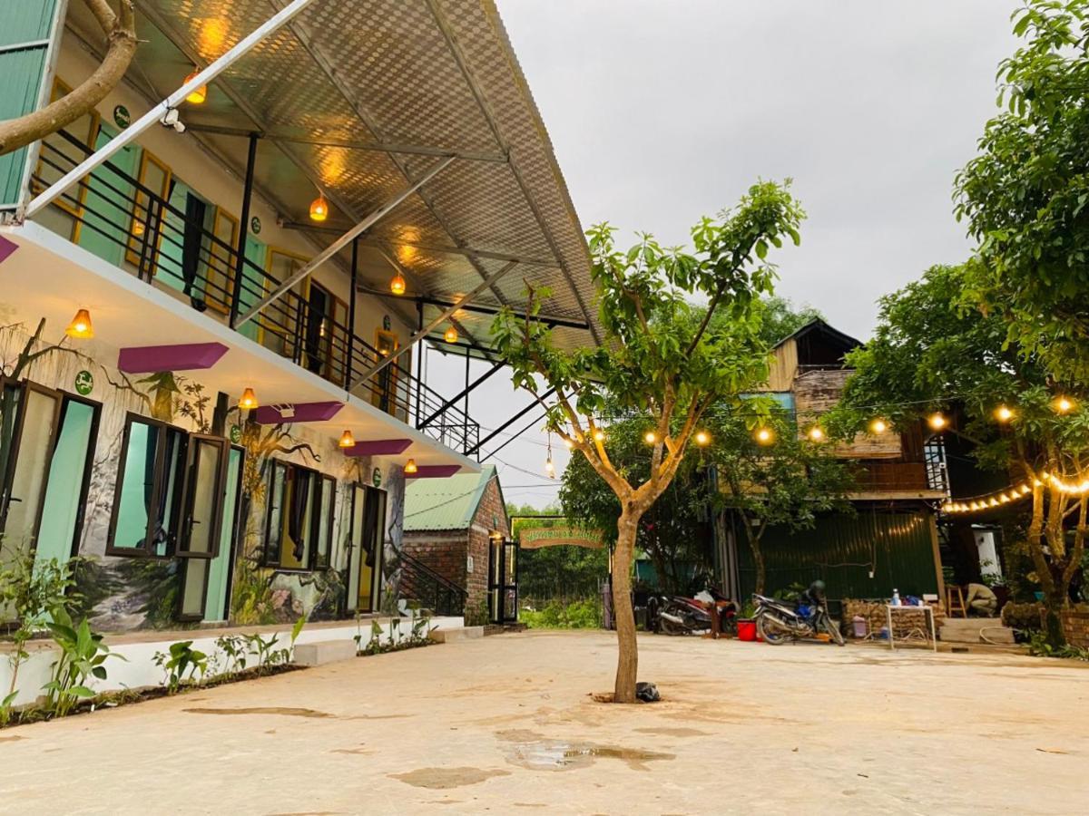 Jungle Boss Homestay Phong Nha Ngoại thất bức ảnh