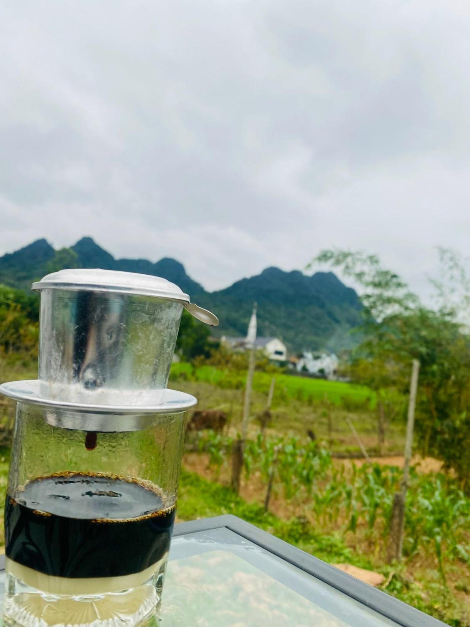 Jungle Boss Homestay Phong Nha Ngoại thất bức ảnh