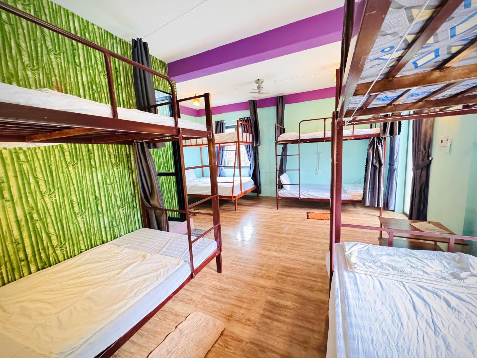 Jungle Boss Homestay Phong Nha Ngoại thất bức ảnh