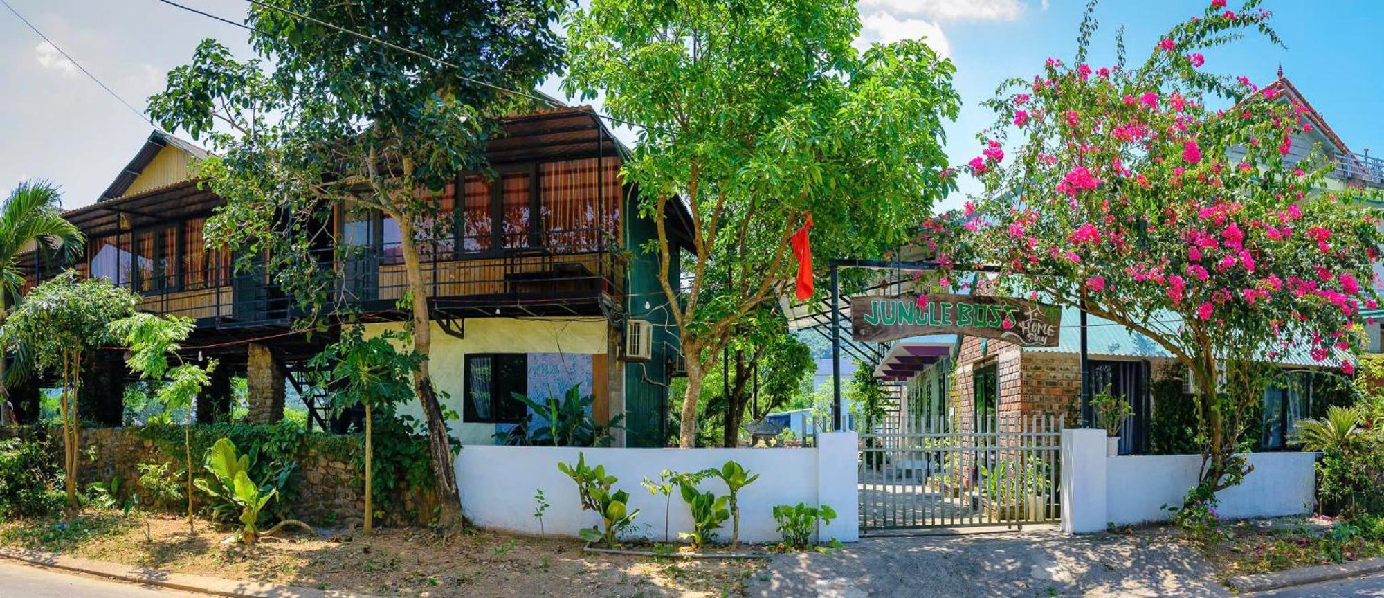 Jungle Boss Homestay Phong Nha Ngoại thất bức ảnh
