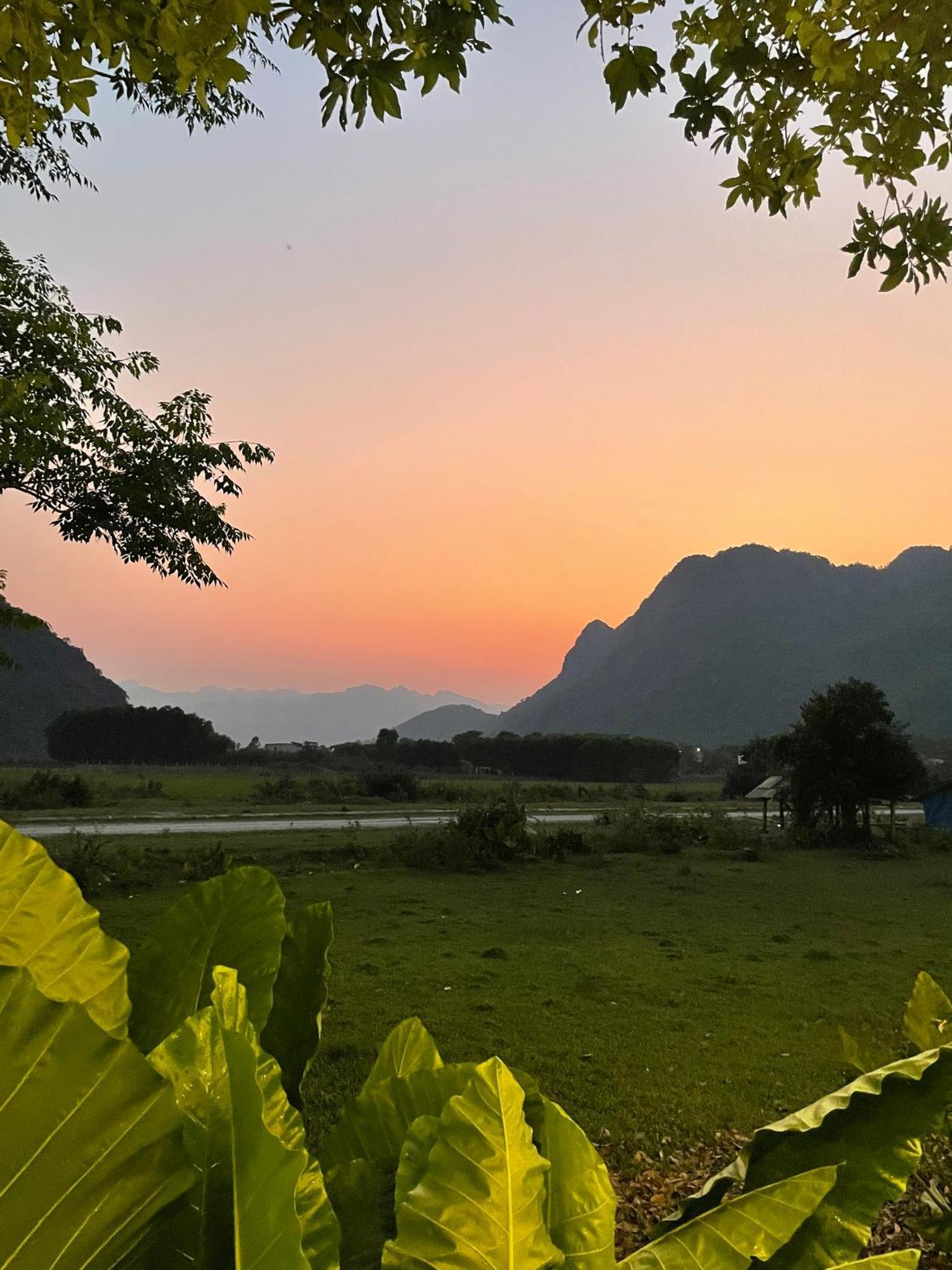 Jungle Boss Homestay Phong Nha Ngoại thất bức ảnh