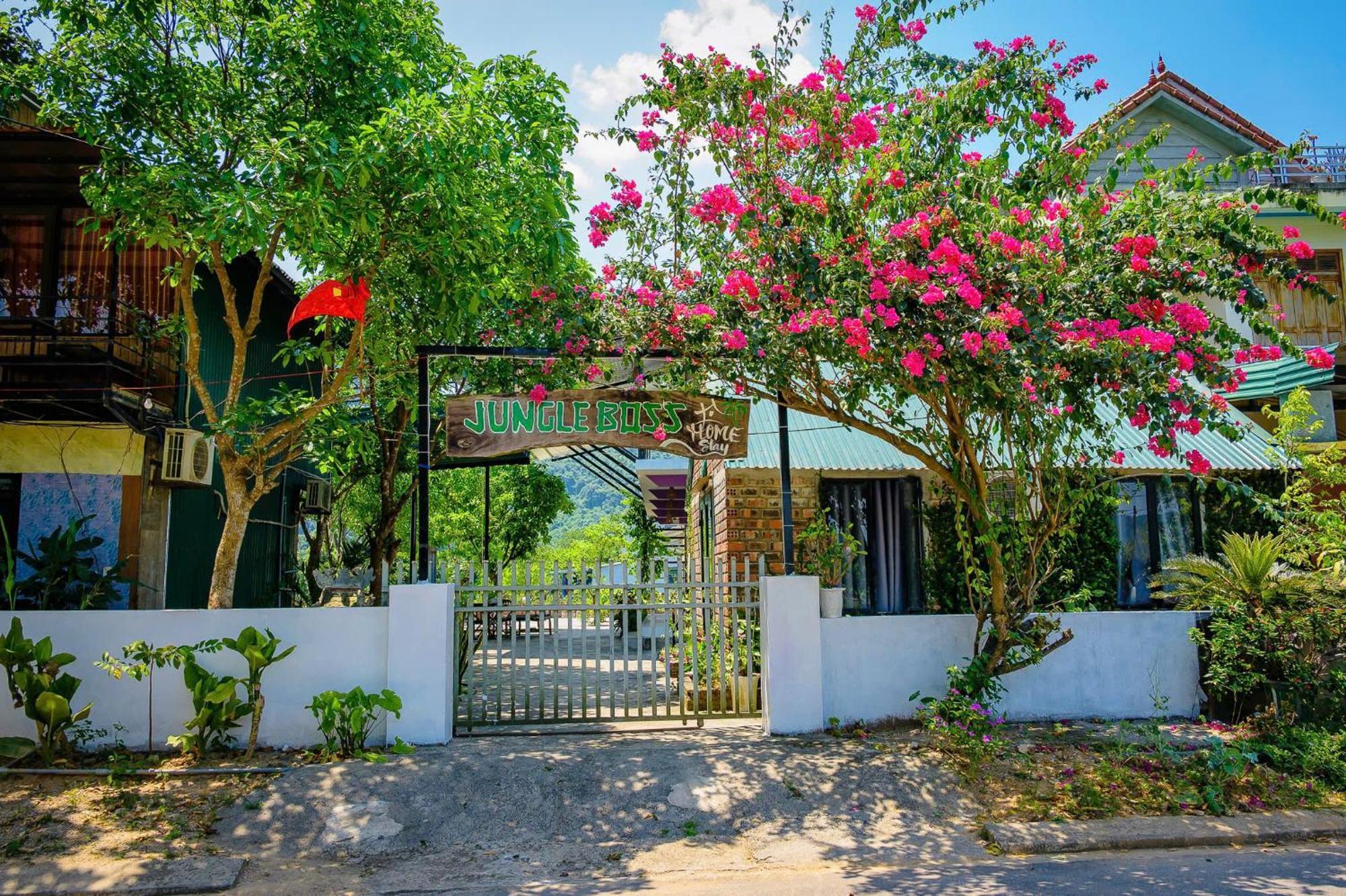 Jungle Boss Homestay Phong Nha Ngoại thất bức ảnh