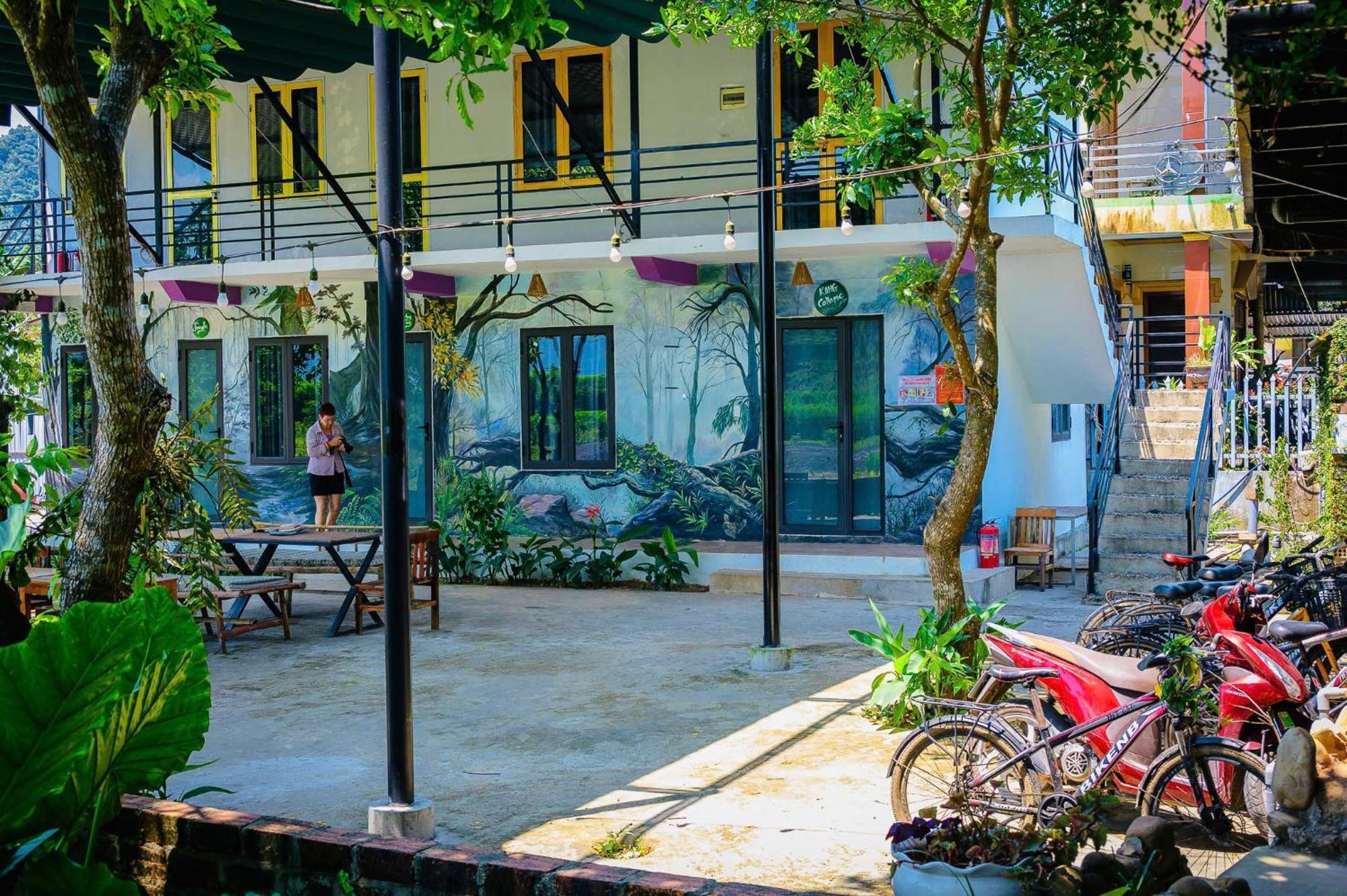 Jungle Boss Homestay Phong Nha Ngoại thất bức ảnh