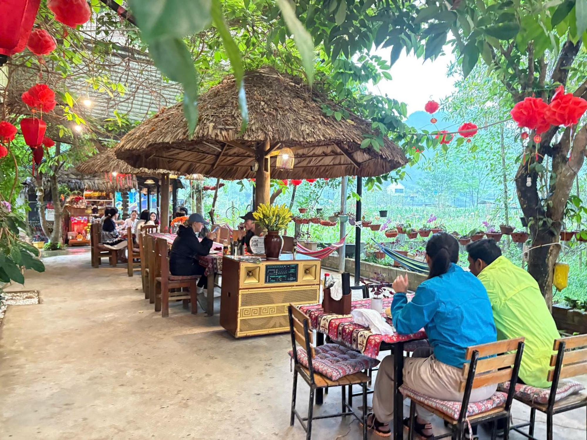 Jungle Boss Homestay Phong Nha Ngoại thất bức ảnh