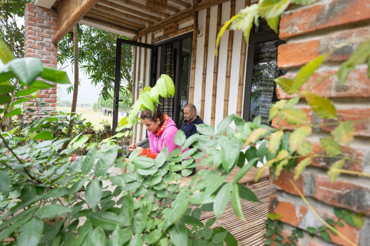 Jungle Boss Homestay Phong Nha Ngoại thất bức ảnh