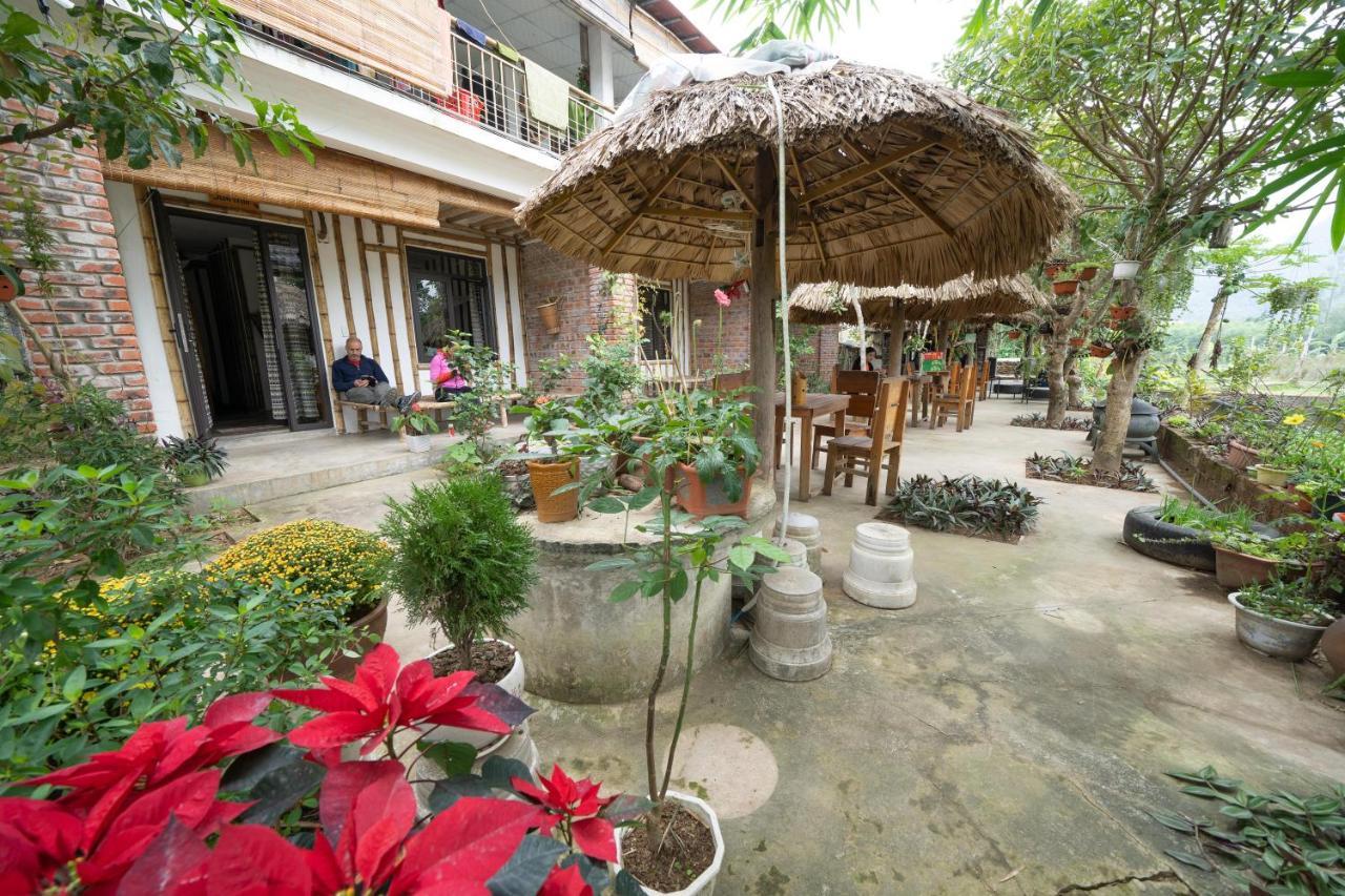 Jungle Boss Homestay Phong Nha Ngoại thất bức ảnh
