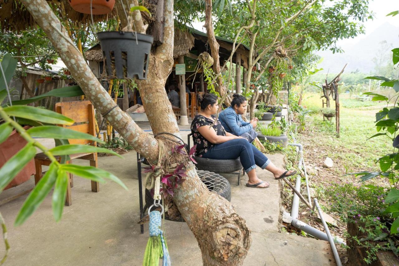 Jungle Boss Homestay Phong Nha Ngoại thất bức ảnh