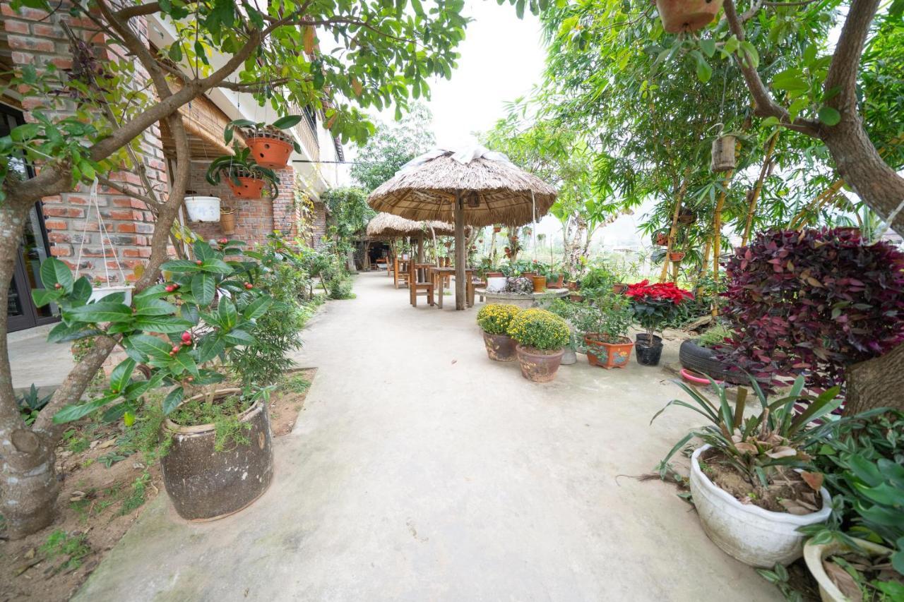 Jungle Boss Homestay Phong Nha Ngoại thất bức ảnh